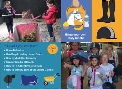 Beginners Guide to Horse and Pony Care Level 2