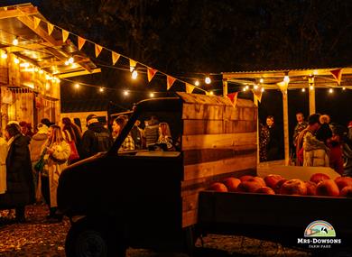Pumpkin Nights