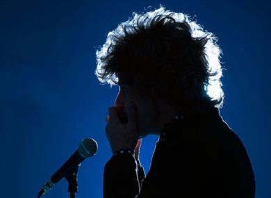 The Bob Dylan Story