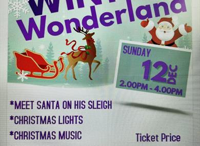 Santa on a Sleigh
