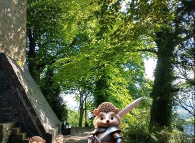 Hidden Hedgehogs Competition Hunt