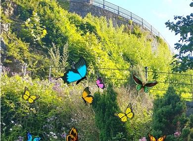Flutterby Butterfly Competition Hunt