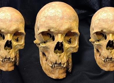 Teeth Tell Tales with Dr Allison Stewart (UCLan)