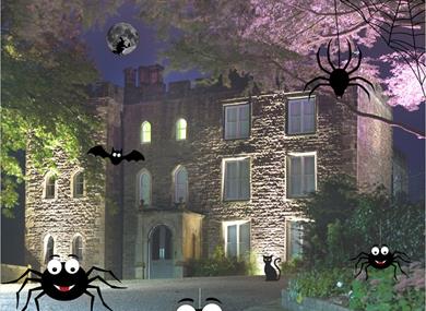 Silly Spiders Competition Hunt