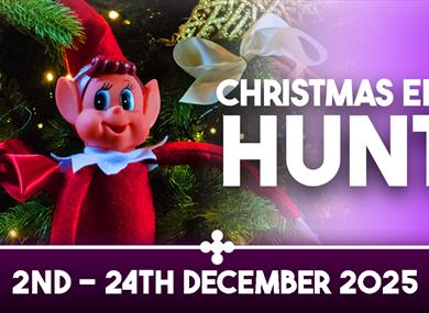 Christmas Elf Hunt