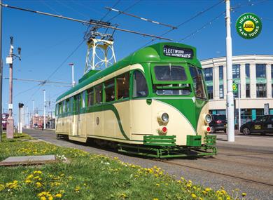 Heritage Tram Tours Easter Gold