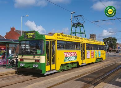 May Day Holiday Weekend Heritage Tram Tours GOLD
