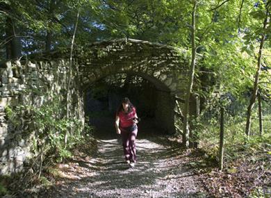 Walking with the Forest of Burnley