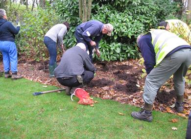Volunteer Days