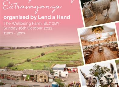 Quirky Wedding Extravaganza