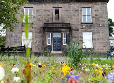 Summer Antics at the Museum