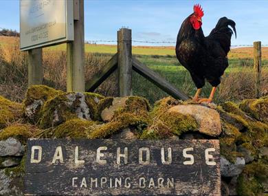 Dale House Camping Barn