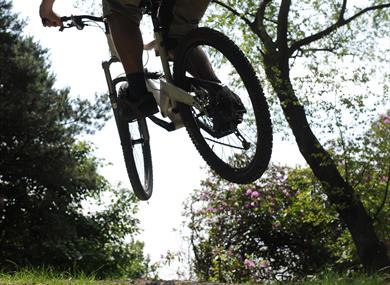 Billinge Wood Mountain Bike Trails