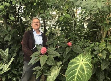 Tropica rainforest tour with tropical plant expert David Redmore