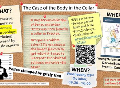 The Case of the Body in the Cellar