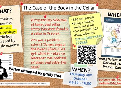 The Case of the Body in the Cellar