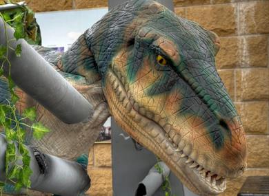 Dinky Dinosaur Adventure