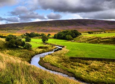 Discover Bowland 2019 cover image