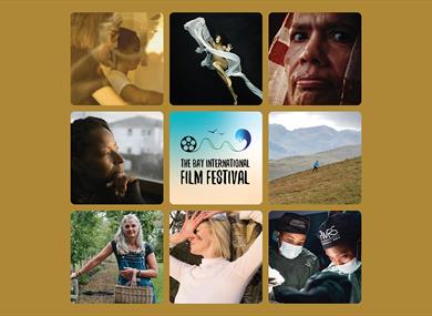 Female Stories (Documentary Short Films)