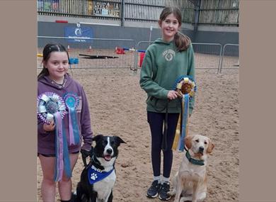 Fun Dog Show
