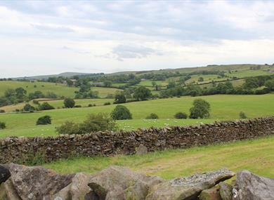 Traditional Boundaries walk around Downham and Twiston