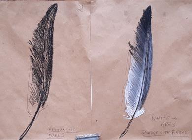 Wildlife Drawing at Half Moon Bay