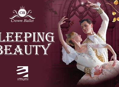 Sleeping Beauty - Russian National Ballet
