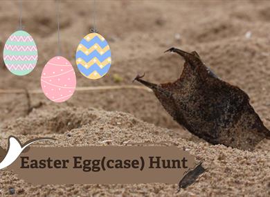 Easter Egg(case) Hunt