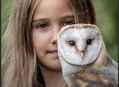 Turbary Woods Owl and Bird of Prey Sanctuary