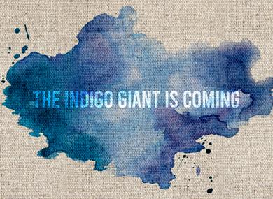 Indigo Giant