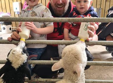 Half Term Fun at the Farm