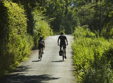Woman and  man riding bicycles in the sunshine along a narrow country lane bordered by hedges.