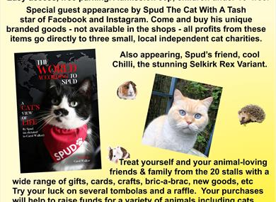 Animal Charity Fair