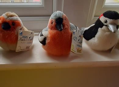Feathery Friends_Pendle Hill Landscape Partnership
