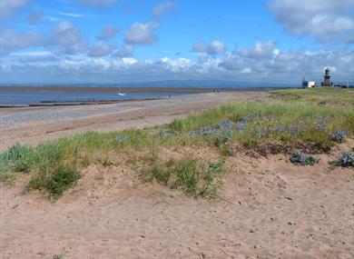 Big Beach Clean