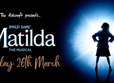 Movie Night: Matilda the Musical