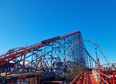 Walk The Big One XL