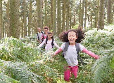 Forest School Taster at Brockholes