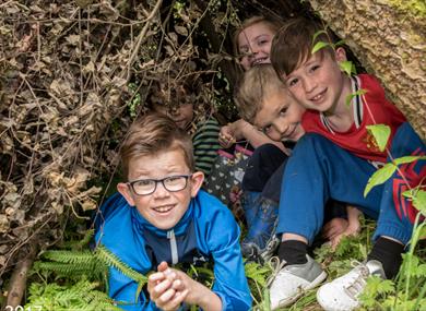 Forest School Family Fun