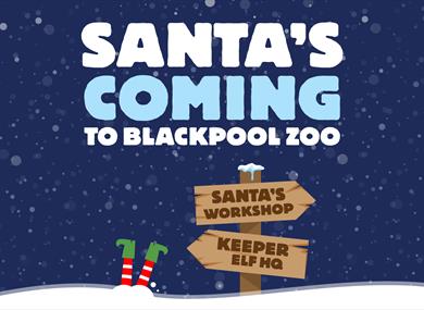 Santa's coming to Blackpool Zoo