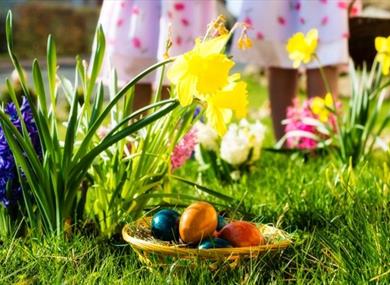 Easter Kids Fun Day at Gibbon Bridge Hotel