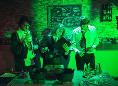 The Witches and Wizards School of Excellence