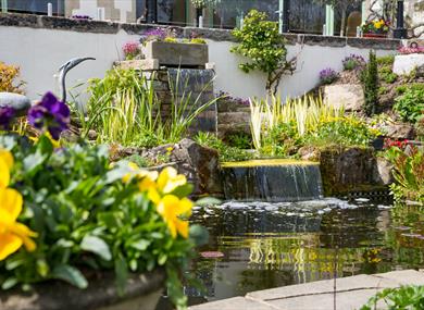 Open Garden at Gibbon Bridge