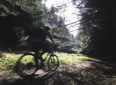 Family Friendly Route - Gisburn Forest