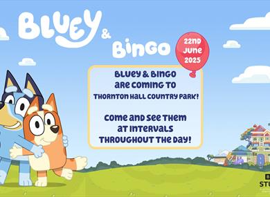 Bluey and Bingo at Thornton Hall Country Park