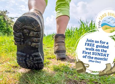 Fylde Sand Dunes Guided Walk