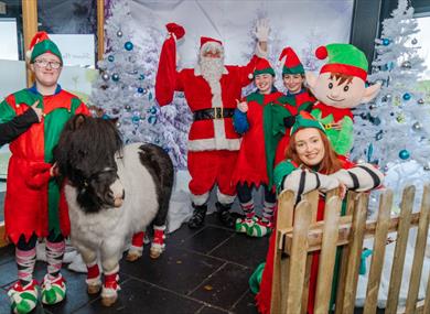 Yule-tastic Christmas at Happa