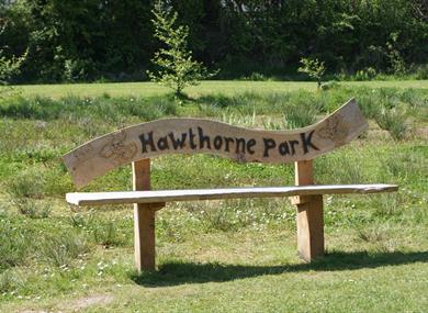 Music on the Park