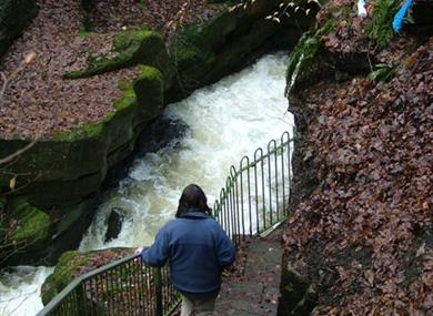 Healey Dell - Chapel