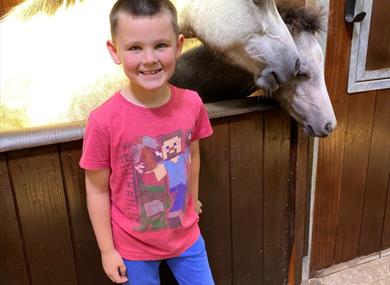 Penny Farm Summer Fair